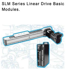 RACO SLM Series Linear Drives Basic Module Data